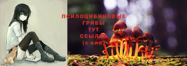 PSILOCYBIN Армянск
