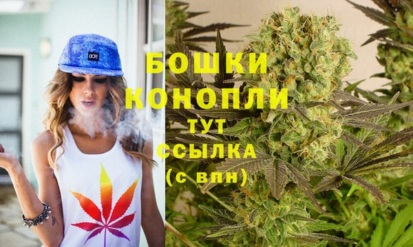 PSILOCYBIN Армянск