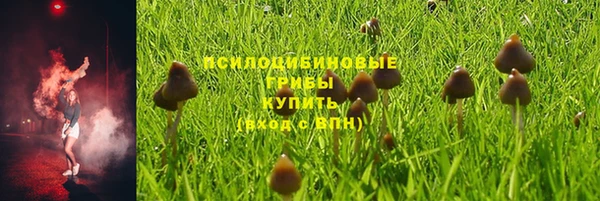 PSILOCYBIN Армянск